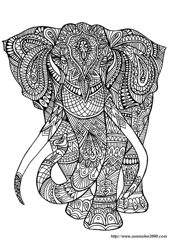 ausmalbild Ein ausgezeichneter Elefant