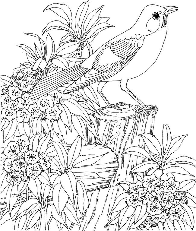 ausmalbild Vogel mit Blumen