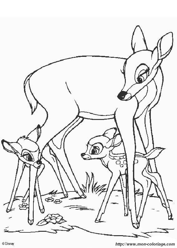 ausmalbild bambi 1