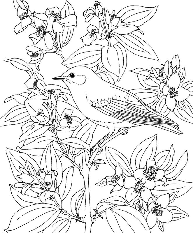 ausmalbild Blumen und ein Vogel