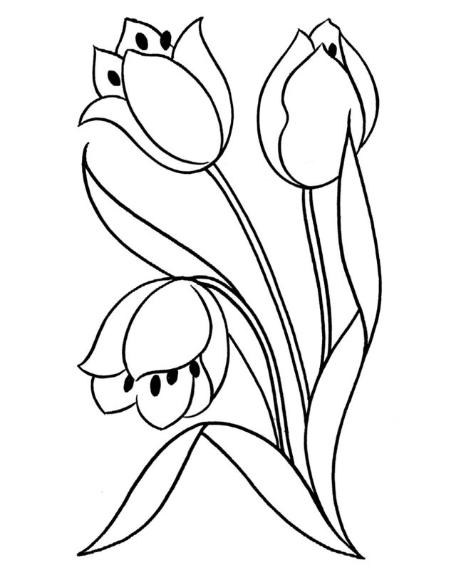 ausmalbild Drei Tulpen zum Ausmalen