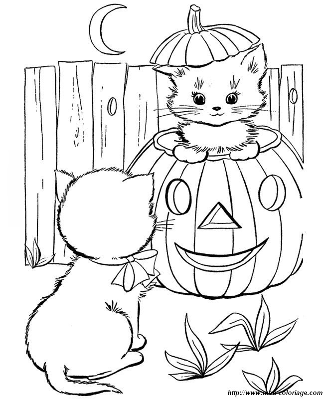 ausmalbild kleine katzen fur halloween