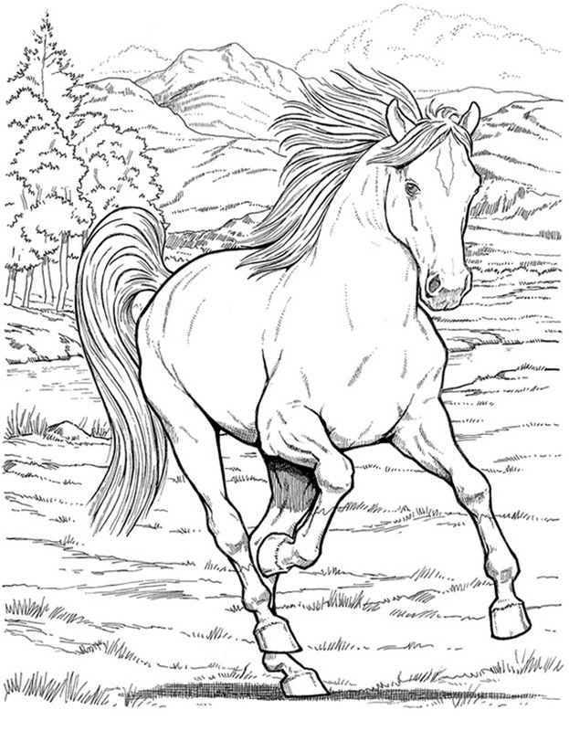 ausmalbild Grosse galoppierenden Pferd