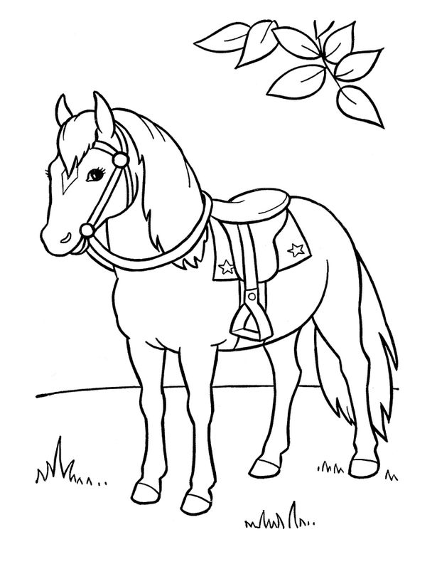 ausmalbild Pferd mit Sattel