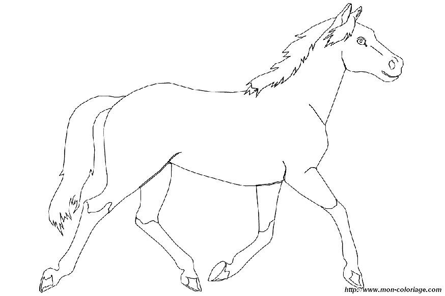 ausmalbild pferd 001