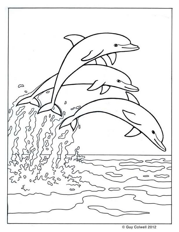 ausmalbild Drei Delphine springen zusammen