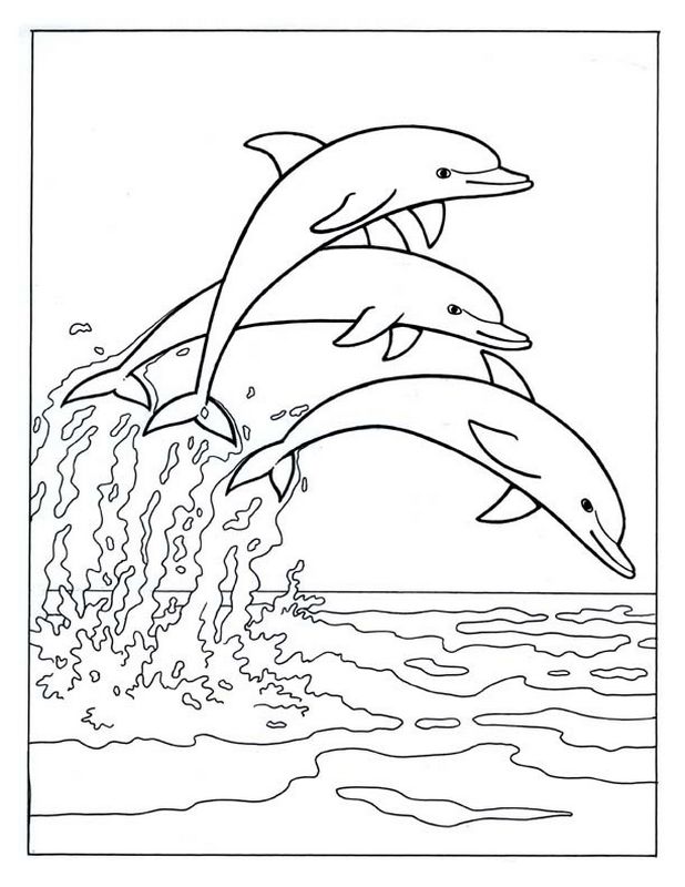 ausmalbild Zeigen drei Delphine