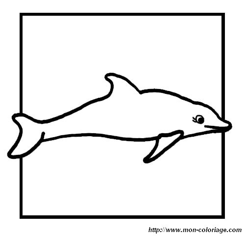 ausmalbild delfin 1