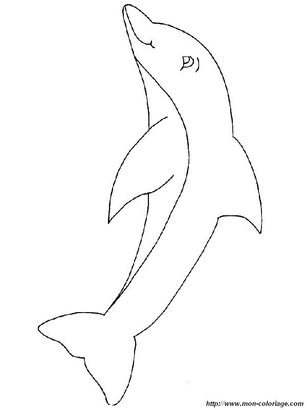 ausmalbild glucklich Delphin