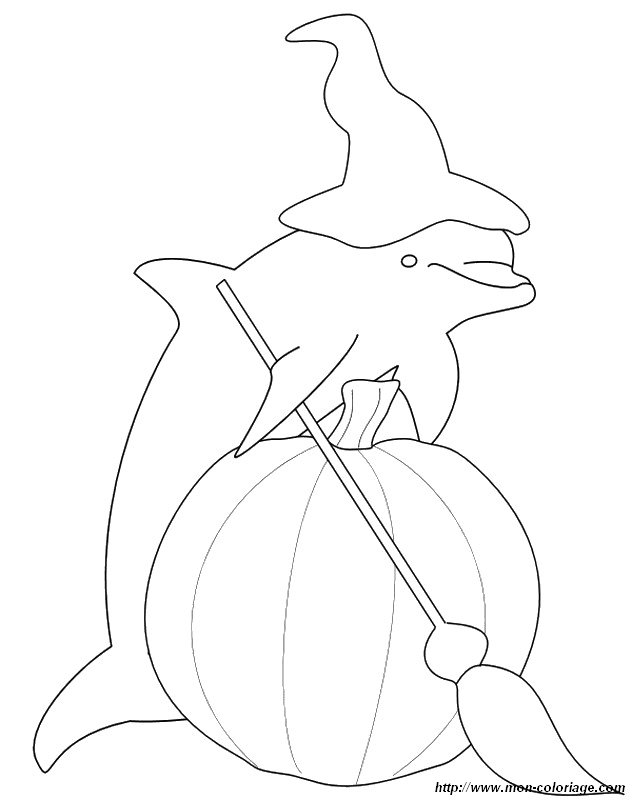 ausmalbild halloween delfine
