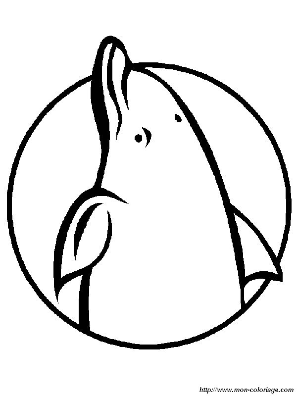 ausmalbild logo delfine