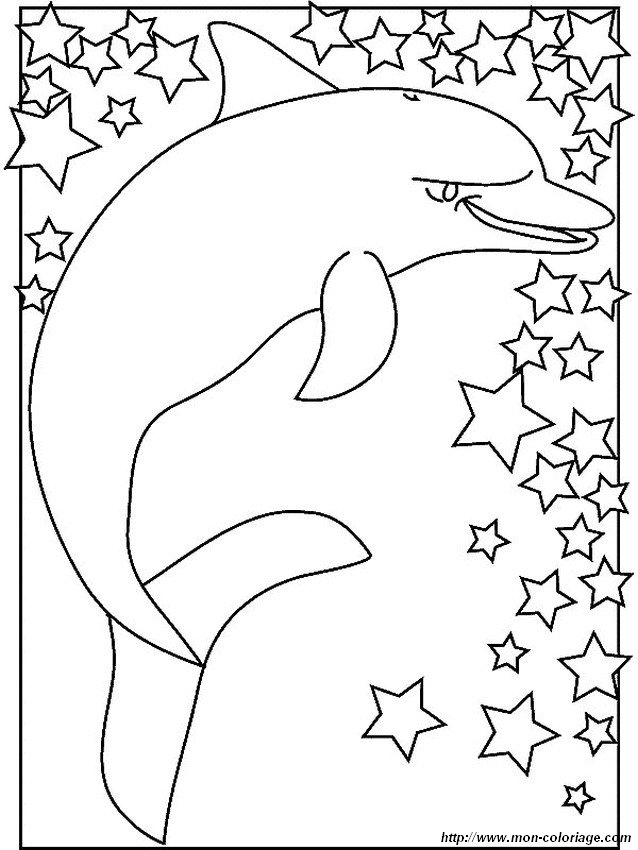 ausmalbild mit Sternen delfine
