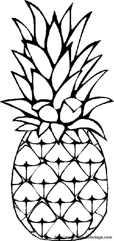ausmalbild ananas 1