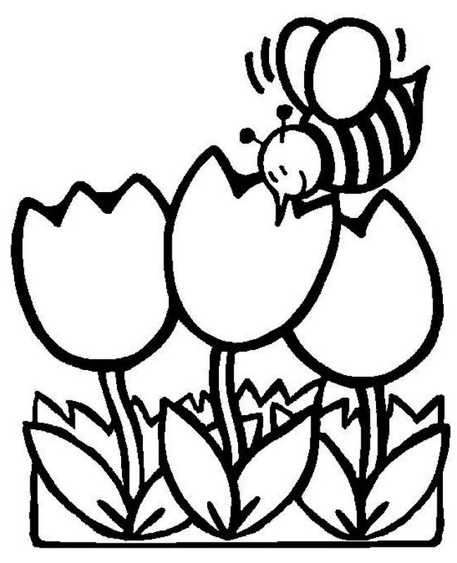 ausmalbilder frühling bild eine biene und tulpen