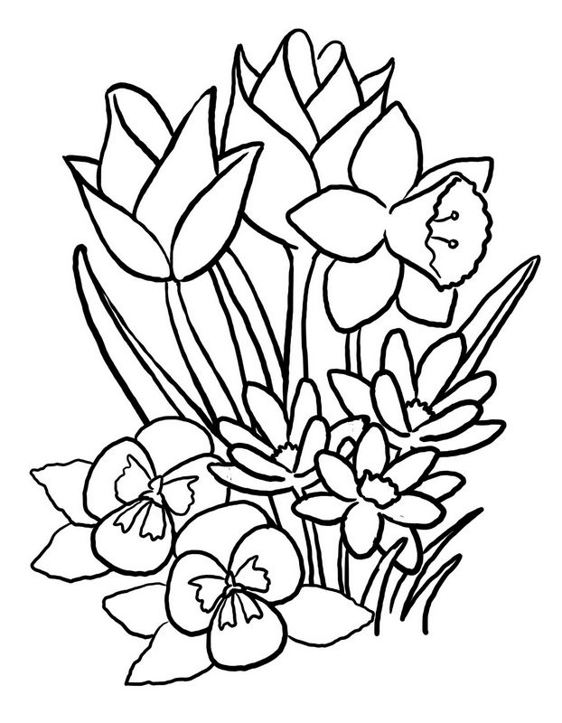 ausmalbild Verschiedene Blumen