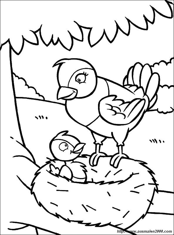 ausmalbild Vogel mit seiner Mutter