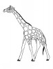 Afrikanische giraffe