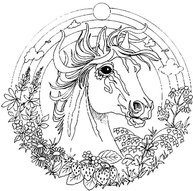 ausmalbild Mandala des Pferdes