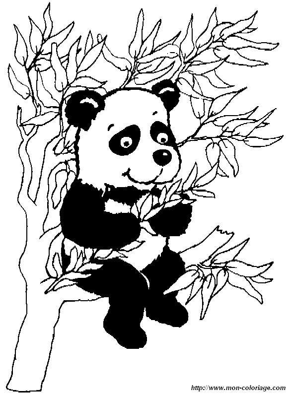 ausmalbild panda1