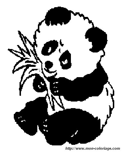 ausmalbild panda6