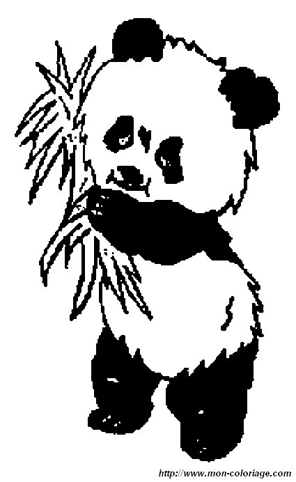 ausmalbild panda7