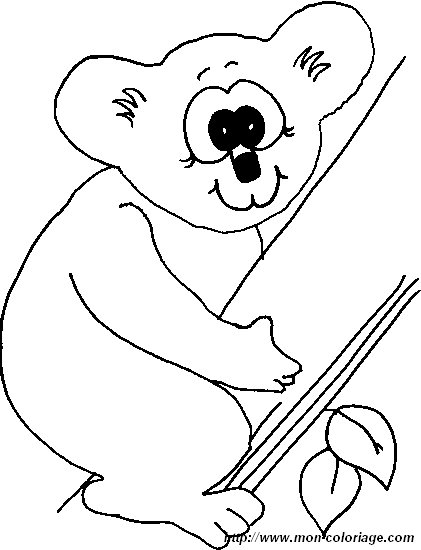 ausmalbild koala 3