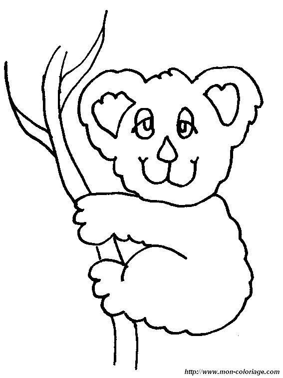 ausmalbild koala 6