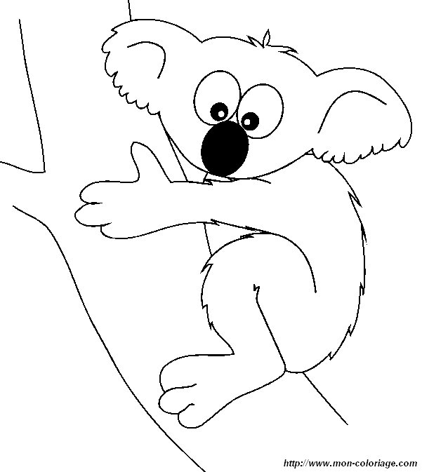 ausmalbild koala 9