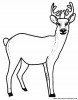 hirsch 1