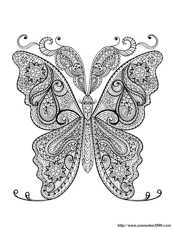 ausmalbild Ein sehr eleganter Schmetterling