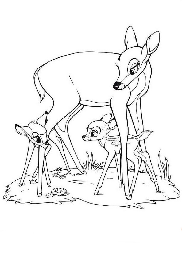 ausmalbild Bambi ist scheu