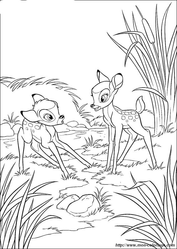 ausmalbild Bambi 23