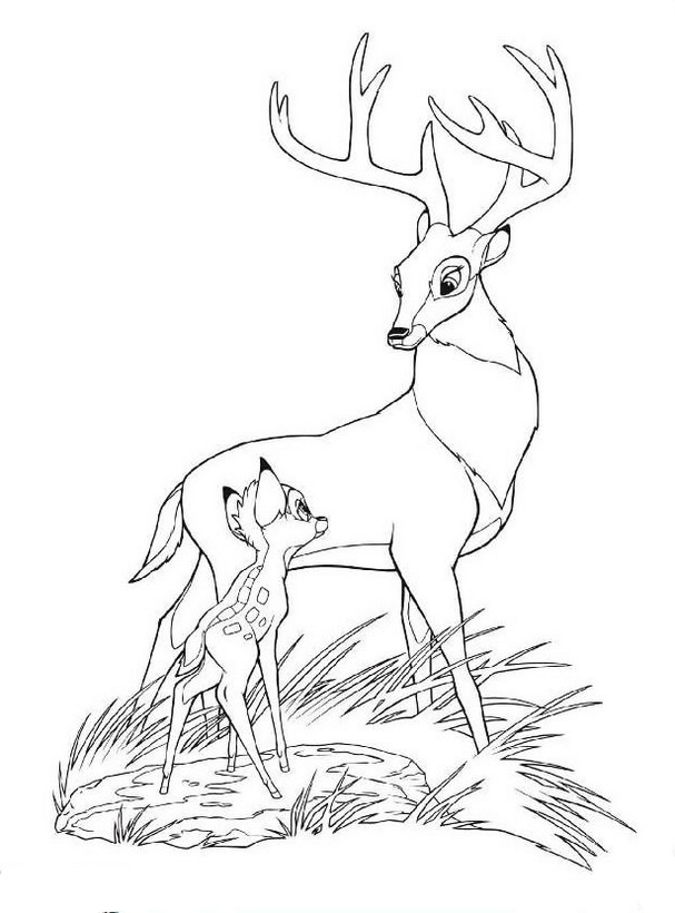 ausmalbild Bambis Vater
