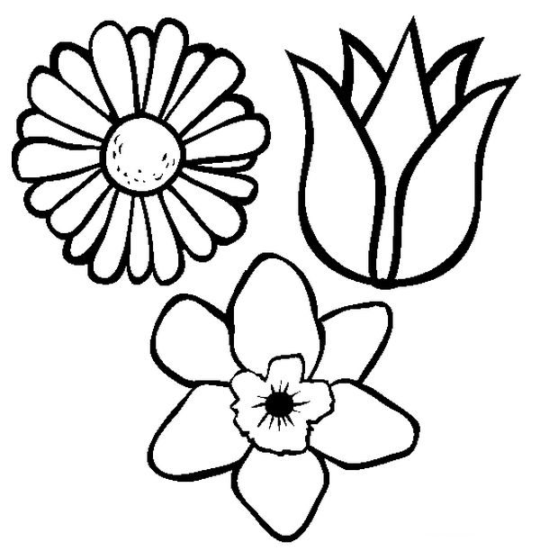 ausmalbild Drei Arten von Blumen