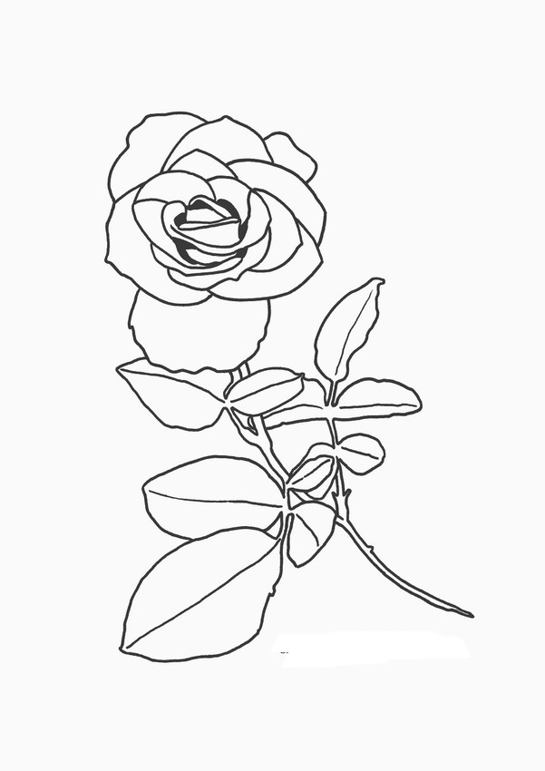 ausmalbild Ich Liebe Rosen