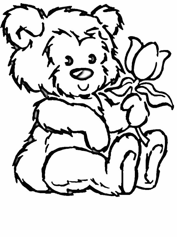 ausmalbild Teddybar mit eine schone Rose