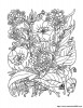 Die wilden Blumen