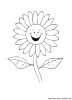 blumen 25