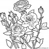blumen 28