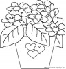 blumen 45