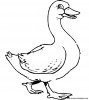 ente 4