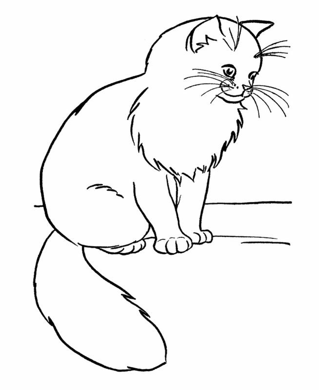 ausmalbild Eine grosse persische Katze