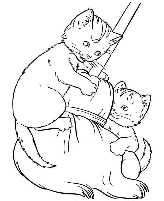 ausmalbild Zwei Katzen auf einem Besen