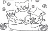 katze 08