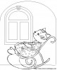 katze 015