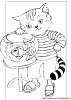 katze 016