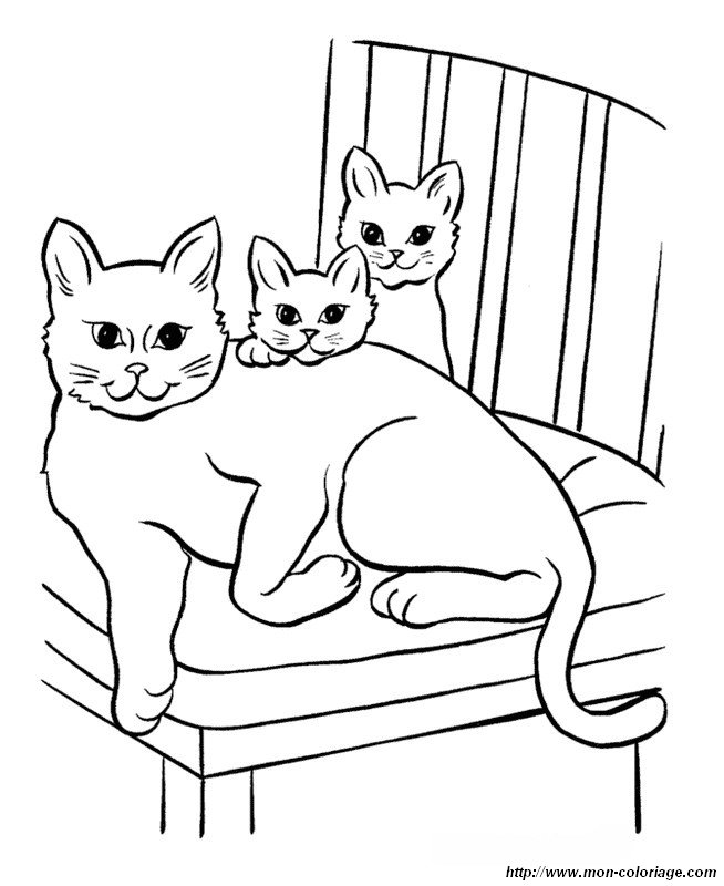 ausmalbild mutter mit katzchen