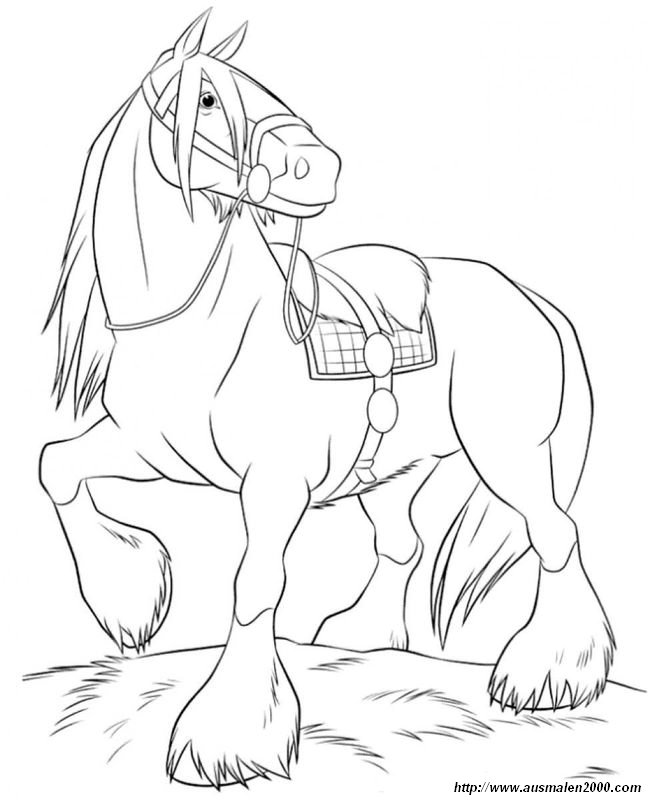 ausmalbild Das Boulonnais Pferde