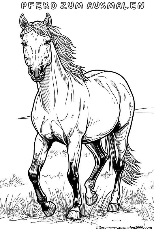 ausmalbild Entwickelt mit Liebe geboren als reinrassiges Pferd