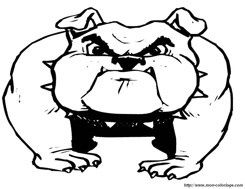 Ausmalbilder Hund Bild Bulldogge